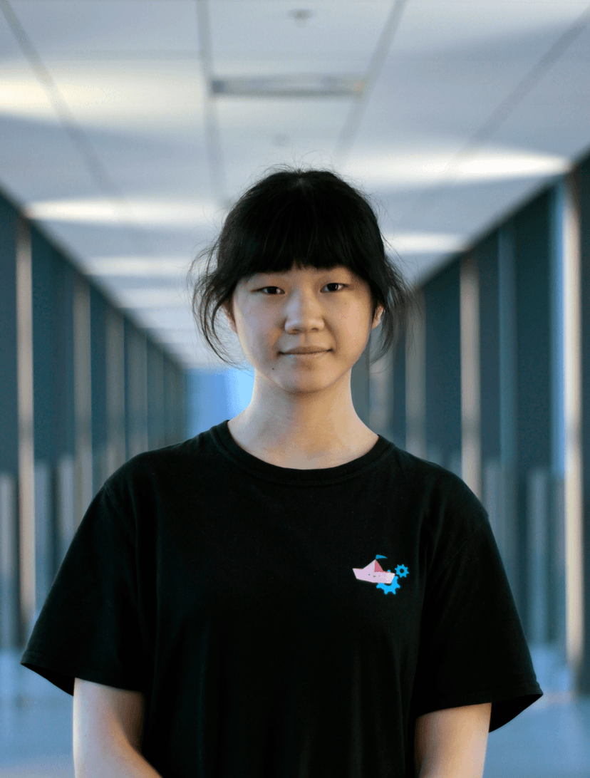 Lin Hong